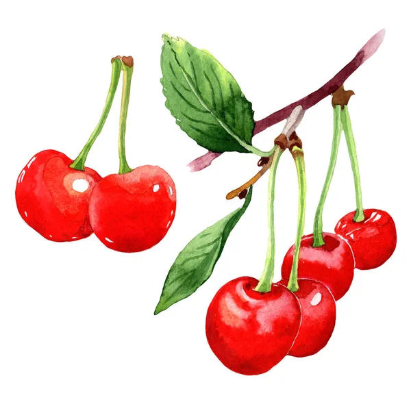 Watercolor Cherry fruit — Stock Photo, Image