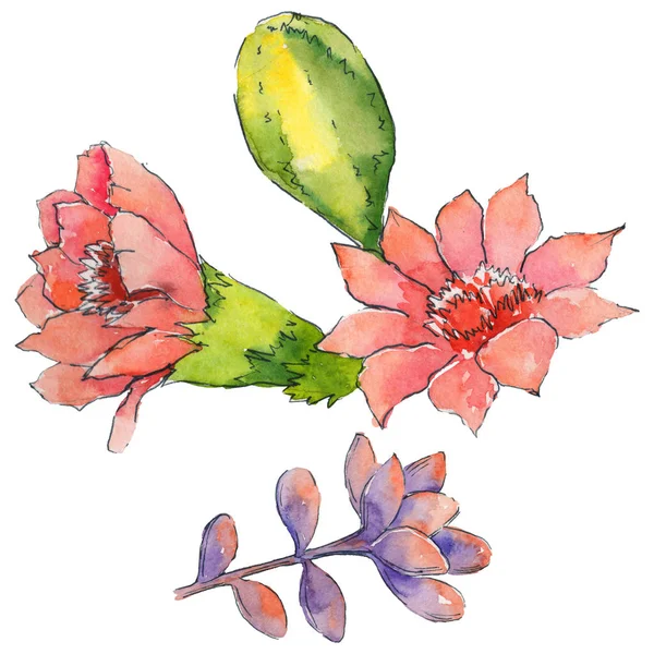 Vahşi kaktüs çiçek