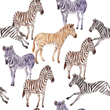 Egzotik zebra vahşi hayvan desen suluboya tarzında.