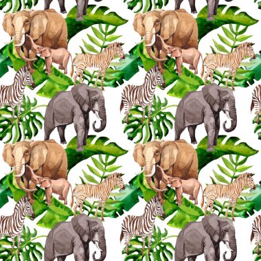 Suluboya tarzında egzotik zebra ve fil vahşi hayvanlar desen.