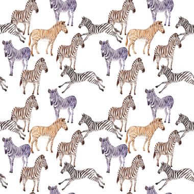 Egzotik zebra vahşi hayvan desen suluboya tarzında.