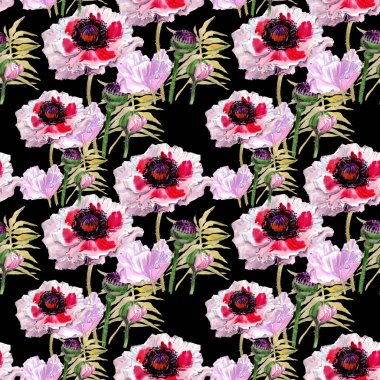 Kır çiçeği haşhaş çiçek deseni suluboya tarzında.