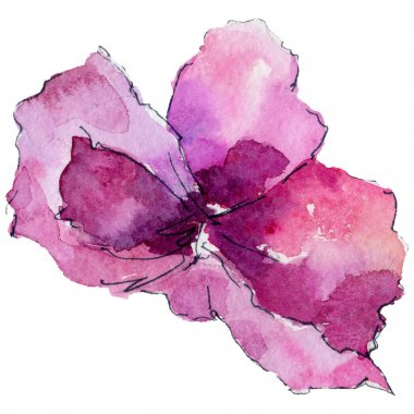 suluboya tarzında orkide çiçek