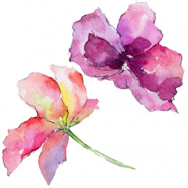 suluboya tarzında orkide çiçek