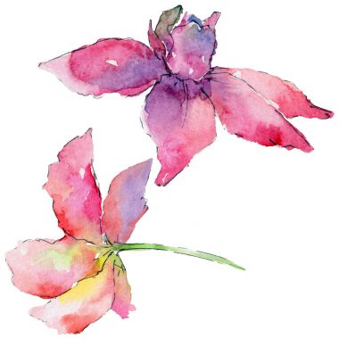 suluboya tarzında orkide çiçek