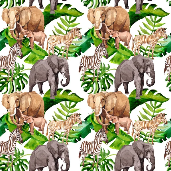 Exotic zebra and elephant wild animals pattern in a watercolor style. — Stock Photo, Image