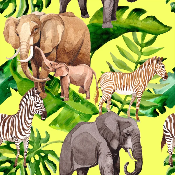 Zèbre exotique et éléphant animaux sauvages modèle dans un style aquarelle . — Photo