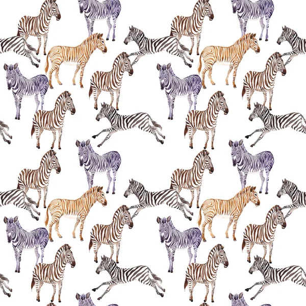 Exotic zebra wild animal pattern in a watercolor style. — Stock Photo, Image