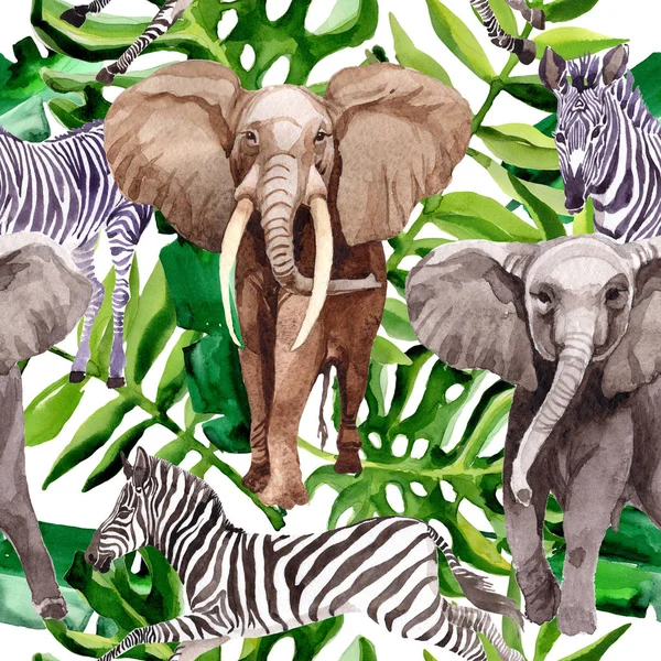 Zèbre exotique et éléphant animaux sauvages modèle dans un style aquarelle . — Photo