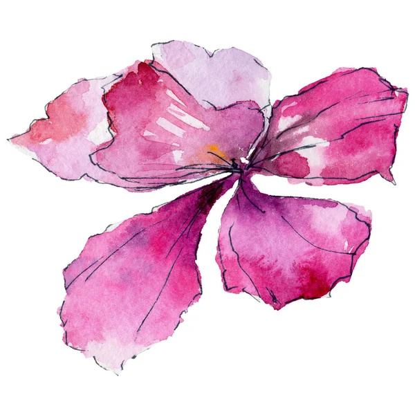Orchideebloem in een aquarel stijl — Stockfoto