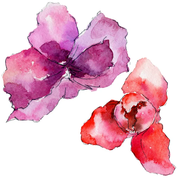 suluboya tarzında orkide çiçek