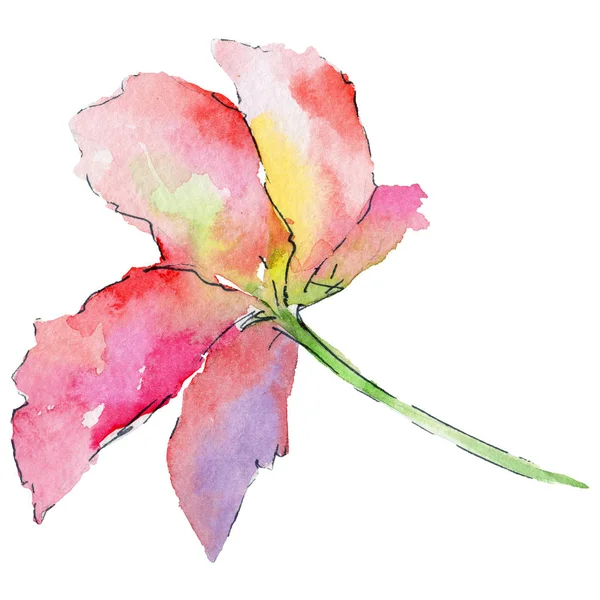 Fleur d'orchidée dans un style aquarelle — Photo