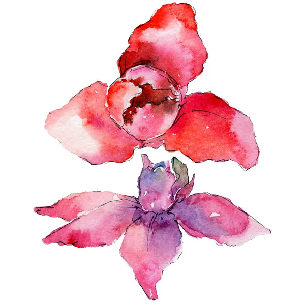 suluboya tarzında orkide çiçek