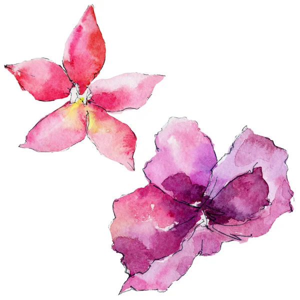 Flor de orquídea em um estilo aquarela — Fotografia de Stock