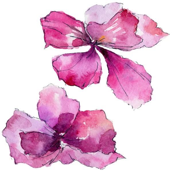 Fleur d'orchidée dans un style aquarelle — Photo