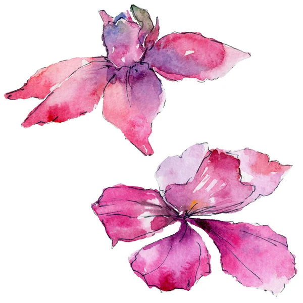 Fiore di orchidea in stile acquerello — Foto Stock