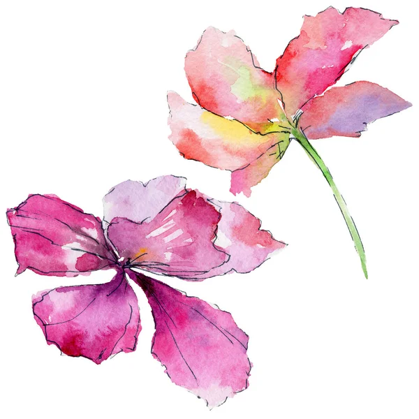 suluboya tarzında orkide çiçek