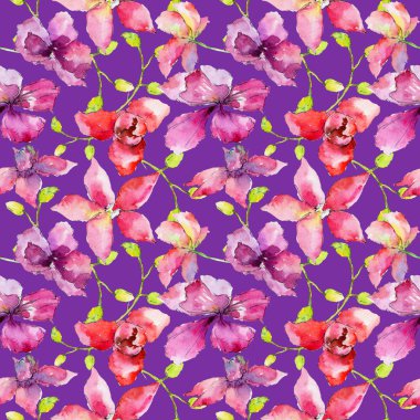 Kır çiçeği orkide çiçek deseni suluboya tarzında.