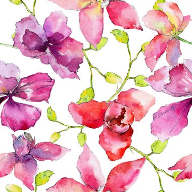 Kır çiçeği orkide çiçek deseni suluboya tarzında.