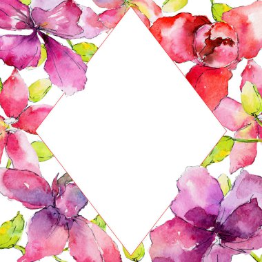 Orkide çiçekli çerçeve 