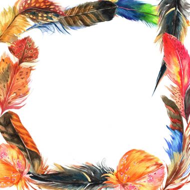 Suluboya kuş kanat tüy çerçevesinden.