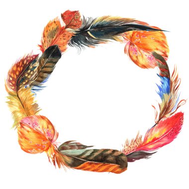 Suluboya kuş tüyü çelenk Wing.