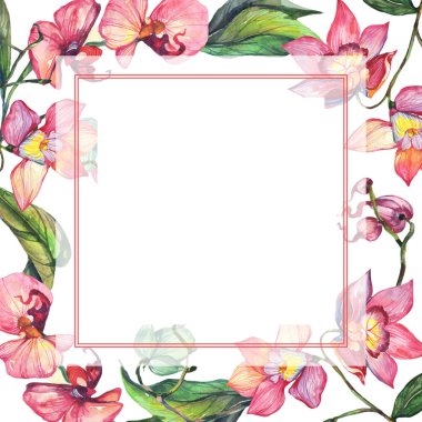 Kır çiçeği orkide çiçek çerçeve suluboya tarzında.