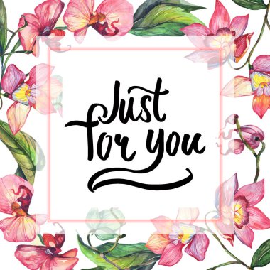 Kır çiçeği orkide çiçek çerçeve suluboya tarzında.