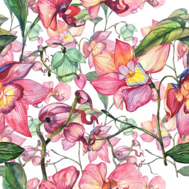 Kır çiçeği orkide çiçek deseni suluboya tarzında.