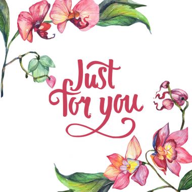 Kır çiçeği orkide çiçek çerçeve suluboya tarzında.