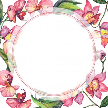 Kır çiçeği orkide çiçek çerçeve suluboya tarzında.