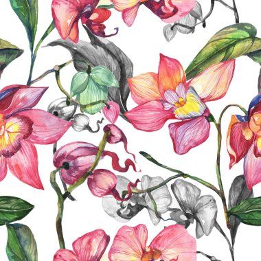 Kır çiçeği orkide çiçek deseni suluboya tarzında.