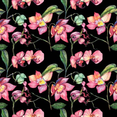 Kır çiçeği orkide çiçek deseni suluboya tarzında.