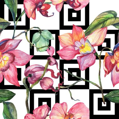 Kır çiçeği orkide çiçek deseni suluboya tarzında.