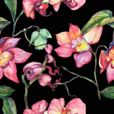 Kır çiçeği orkide çiçek deseni suluboya tarzında.