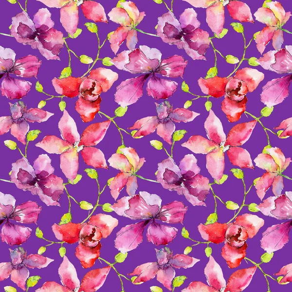 Kır çiçeği orkide çiçek deseni suluboya tarzında.