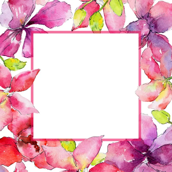 orchid flowers frame