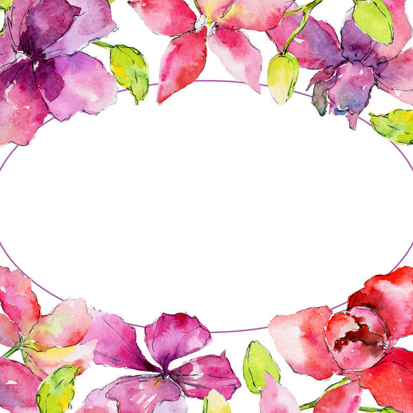 orchid flowers frame 