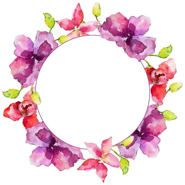 Orchid flowers frame — Stock Photo, Image