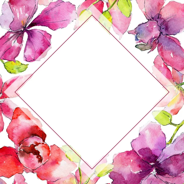 orchid flowers frame