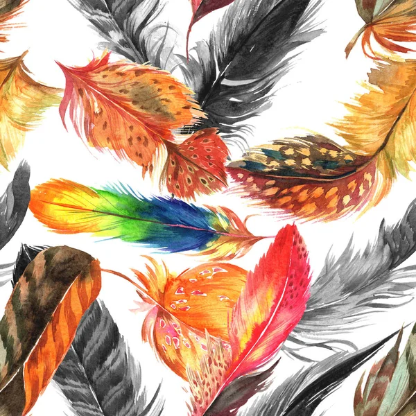 Aquarel vogel veren patroon van vleugel. — Stockfoto