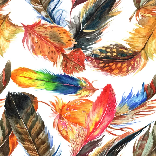 Watercolor bird feather pattern from wing. — Stock Photo, Image