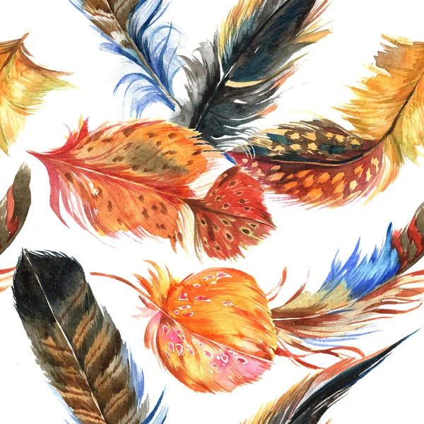 Watercolor bird feather pattern from wing. — Stock Photo, Image