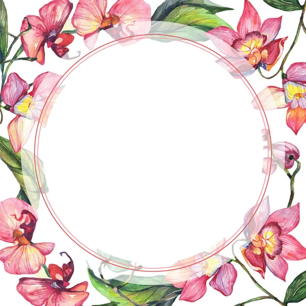 Kır çiçeği orkide çiçek çerçeve suluboya tarzında.