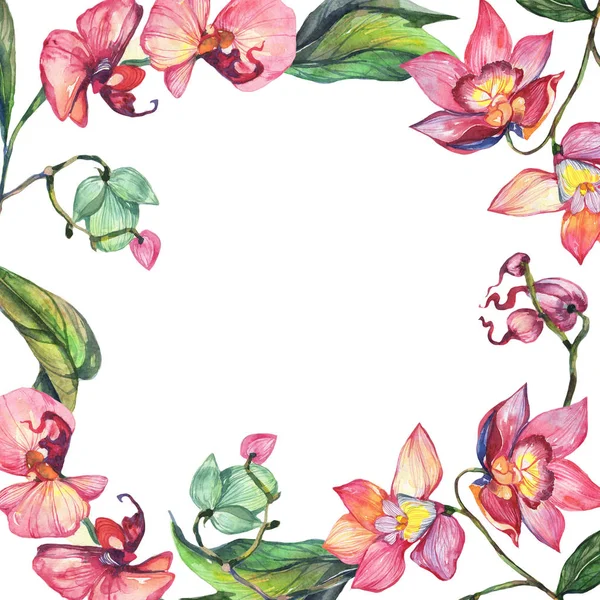 Kır çiçeği orkide çiçek çerçeve suluboya tarzında.