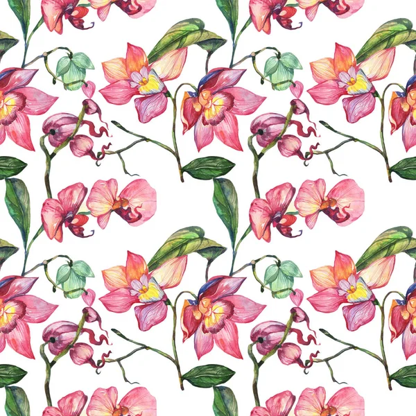 수채화 스타일에 야생화 난초 꽃 패턴. — 스톡 사진