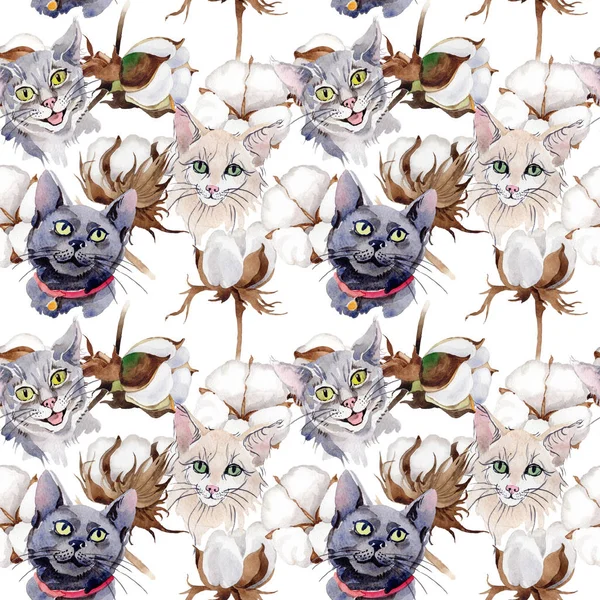 Kır çiçeği pamuk çiçek deseni suluboya tarzında.