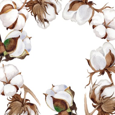 Kır çiçeği pamuk çiçek çerçeve suluboya tarzında.