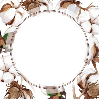 Kır çiçeği pamuk çiçek çerçeve suluboya tarzında.