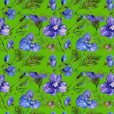 Kır çiçeği orkide çiçek deseni suluboya tarzında.